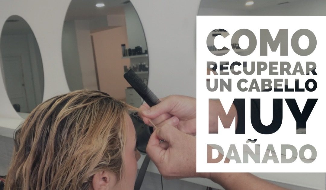 Como recuperar un cabello muy dañado